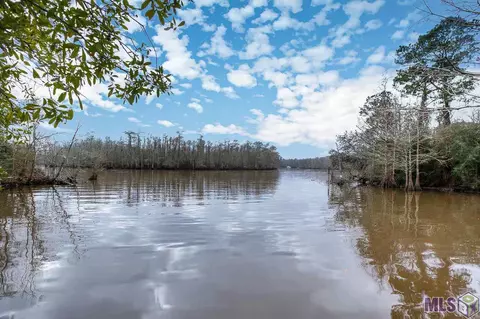 31807 River Pines Dr, Springfield, LA 70462 photo 17