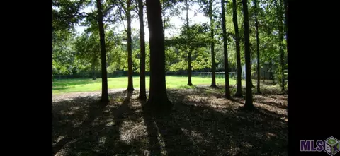 33469 Nancy Dr, Walker, LA 70785 photo 4