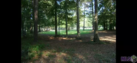 33469 Nancy Dr, Walker, LA 70785 photo 3