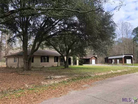 14145 Stacey Ln, Walker, LA 70785 photo 1