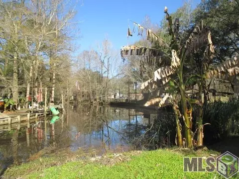 13529 Petite Dr, Maurepas, LA 70449 photo 20
