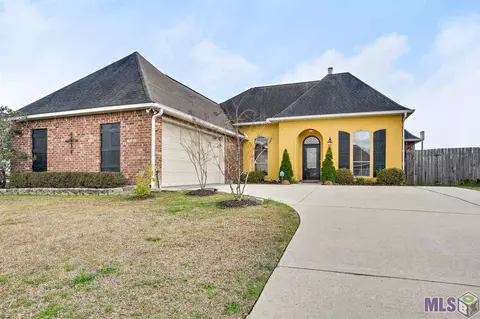 28066 Great Eagle Ave, Walker, LA 70785 photo 1