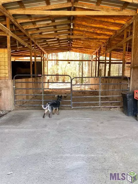 12302 Cameron Ln, Walker, LA 70785 photo 7