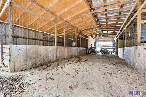 12302 Cameron Ln, Walker, LA 70785 photo 8