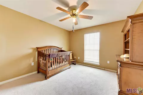 12302 Cameron Ln, Walker, LA 70785 photo 19