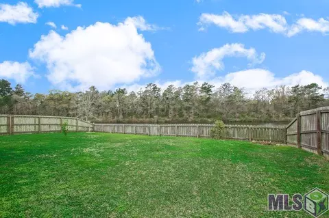 31127 Green Leaf Dr, Walker, LA 70785 photo 13