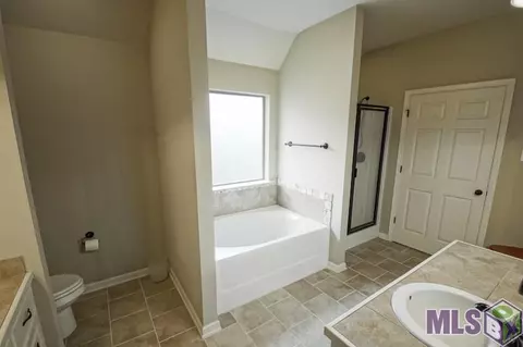 31127 Green Leaf Dr, Walker, LA 70785 photo 8