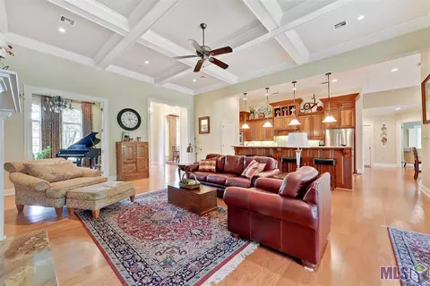 30767 Wild Iris Way, Springfield, LA 70462 photo 3