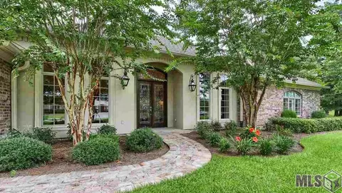 30767 Wild Iris Way, Springfield, LA 70462 photo 1