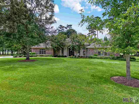 30767 Wild Iris Way, Springfield, LA 70462 photo 21