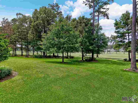 30767 Wild Iris Way, Springfield, LA 70462 photo 18