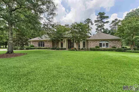 30767 Wild Iris Way, Springfield, LA 70462 photo 23