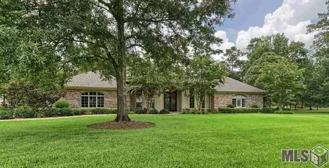 30767 Wild Iris Way, Springfield, LA 70462 photo 22