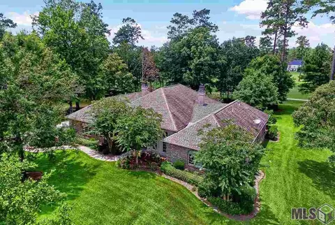 30767 Wild Iris Way, Springfield, LA 70462 photo 20