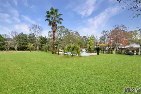 11719 Pine St, Walker, LA 70785 photo 32