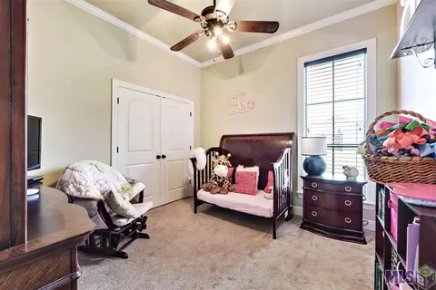 13277 Williamsburg Dr, Walker, LA 70785 photo 10