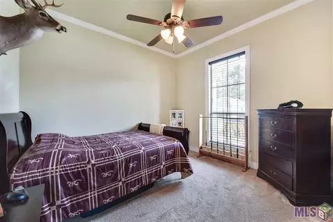 13277 Williamsburg Dr, Walker, LA 70785 photo 19