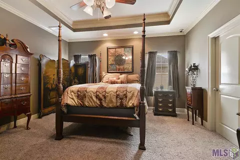 31157 Cane Market Rd, Walker, LA 70785 photo 7
