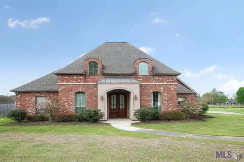 31157 Cane Market Rd, Walker, LA 70785 photo 13