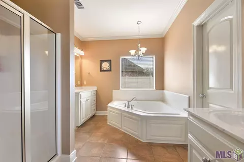 31157 Cane Market Rd, Walker, LA 70785 photo 8