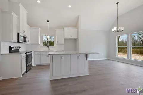 7807 High Eagle Ct, Watson, LA 70706 photo 6