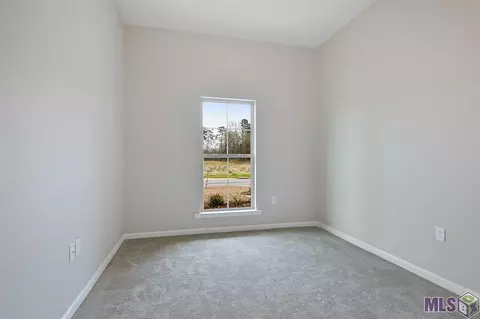 7807 High Eagle Ct, Watson, LA 70706 photo 8