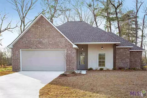 7807 High Eagle Ct, Watson, LA 70706 photo 1
