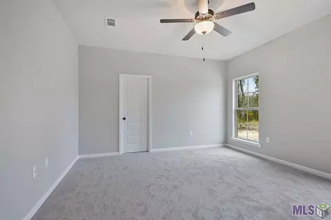 7807 High Eagle Ct, Watson, LA 70706 photo 4