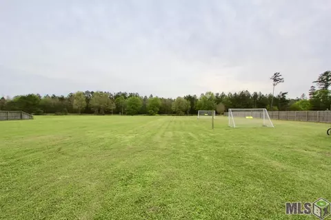 13046 N Ridge Rd, Walker, LA 70785 photo 21