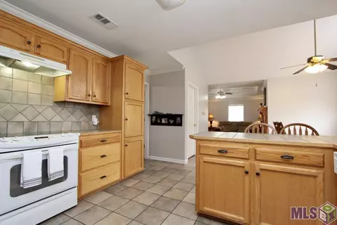 13046 N Ridge Rd, Walker, LA 70785 photo 9
