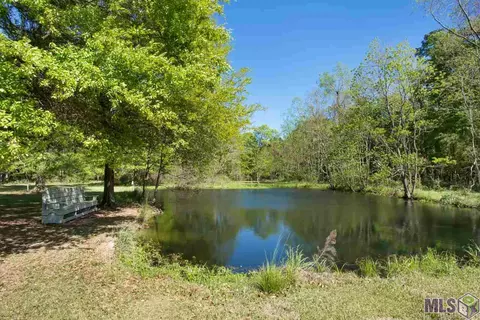 15308 E Ridge Dr, Walker, LA 70785 photo 36