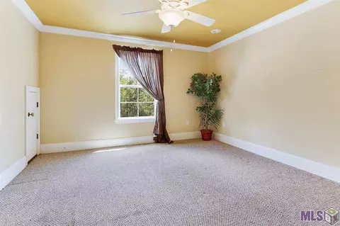 20541 Swamp Dr, Springfield, LA 70462 photo 25