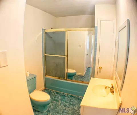 29141 Jan St, Walker, LA 70785 photo 19