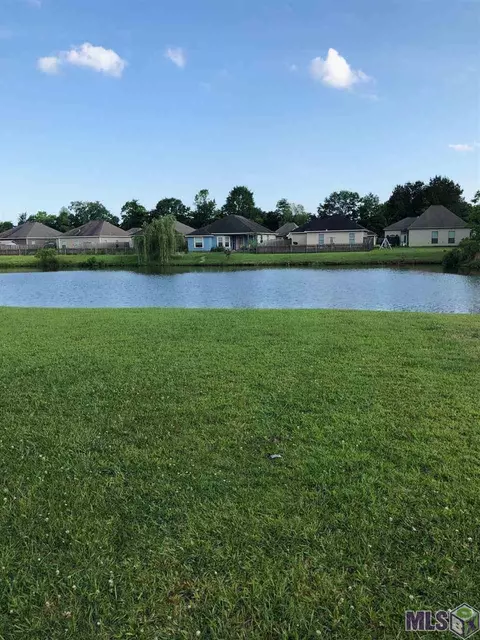 13524 Rose Dr, Walker, LA 70785 photo 17