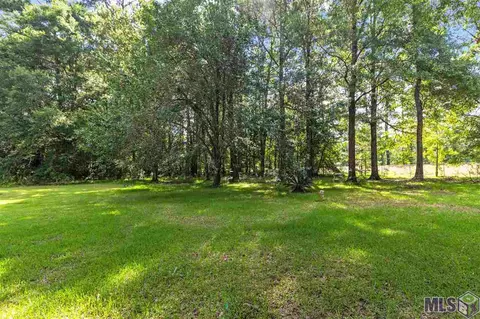 14731 Springfield Rd, Walker, LA 70785 photo 21