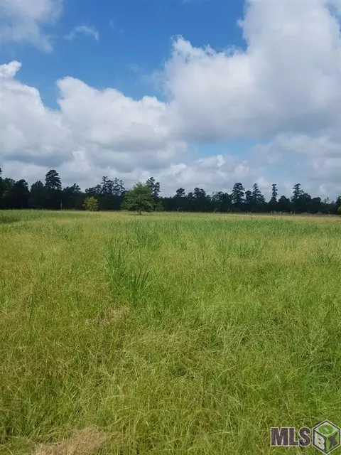 34841 J W Hall Rd, Walker, LA 70785 photo 1