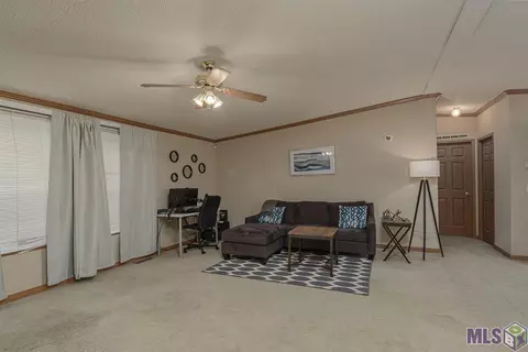 13448 Herring Dr, Walker, LA 70785 photo 5