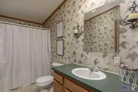13448 Herring Dr, Walker, LA 70785 photo 13
