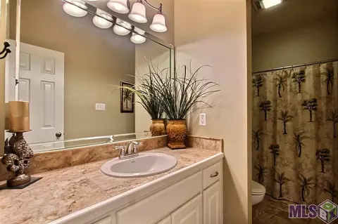 12380 Cameron Ln, Walker, LA 70785 photo 20