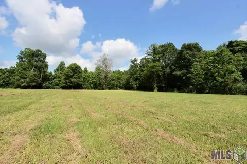 12380 Cameron Ln, Walker, LA 70785 photo 30