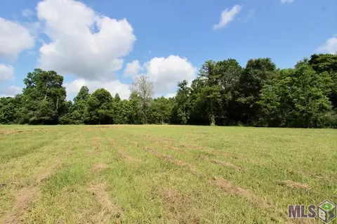 12380 Cameron Ln, Walker, LA 70785 photo 31