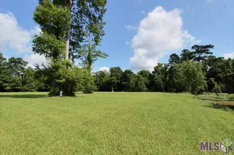 12380 Cameron Ln, Walker, LA 70785 photo 28