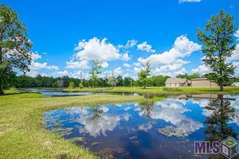 13660 Falcon Grove Dr, Walker, LA 70785 photo 35