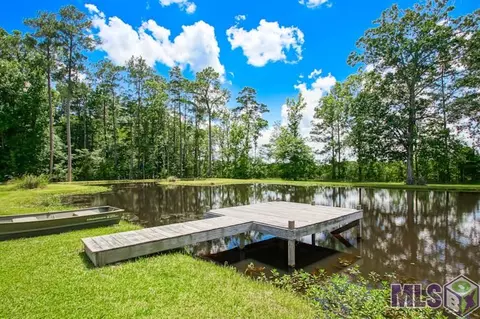 13660 Falcon Grove Dr, Walker, LA 70785 photo 34