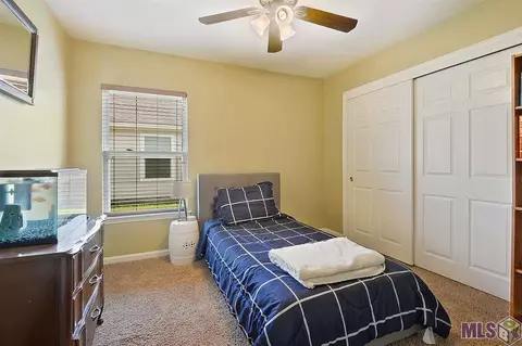 30239 Daffodil Dr, Walker, LA 70785 photo 9