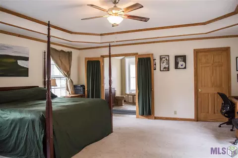33443 Nancy Dr, Walker, LA 70785 photo 13