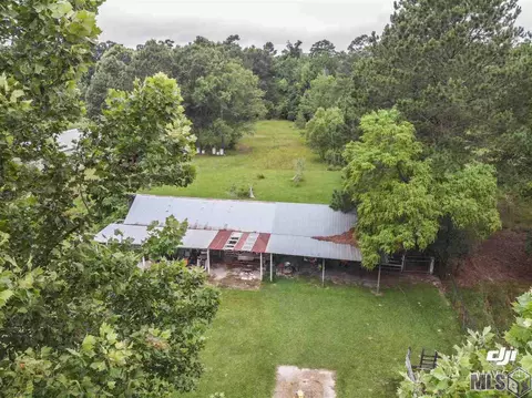 33443 Nancy Dr, Walker, LA 70785 photo 4