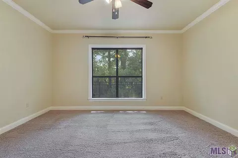 13276 Williamsburg Dr, Walker, LA 70785 photo 10