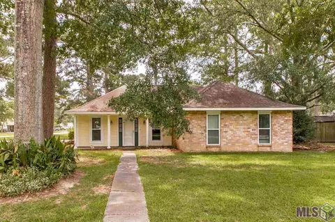 29196 Betty Dr, Walker, LA 70785 photo 13