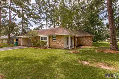 29196 Betty Dr, Walker, LA 70785 photo 15